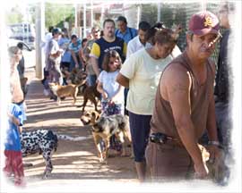 Spay and neuter clinic line