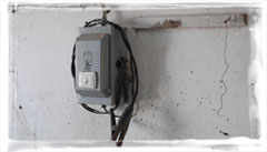 electrocution machine