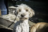 quique2